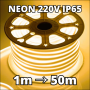 Néon LED 220V blanc chaud 3000K étanche IP65