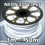 Néon LED 220V blanc froid 6000K étanche IP65