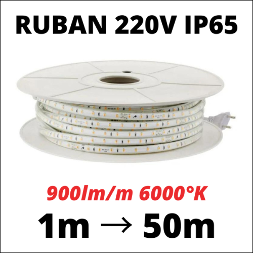 Ruban LED 220V extérieur IP65 Blanc froid 6000K