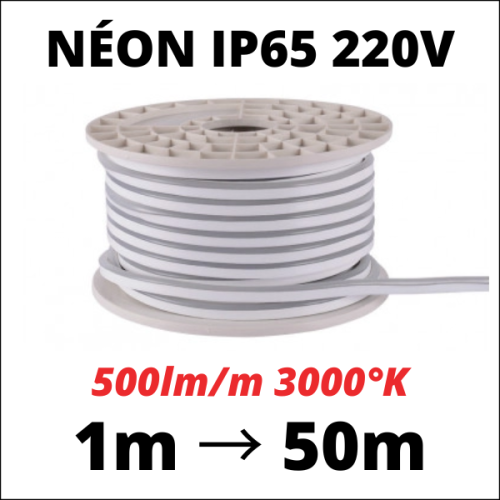 Néon flexible 3000K