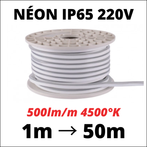 Néon flexible 4500K